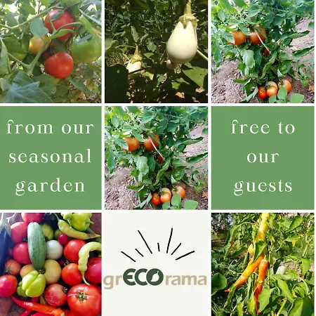 Sea View With 4 Bedrooms - Grecorama *