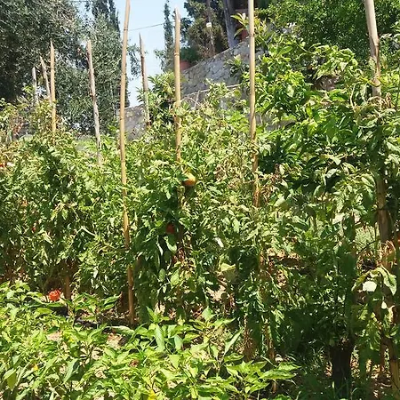 Sea View With 4 Bedrooms - Grecorama