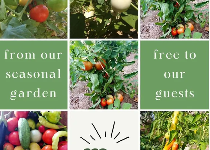 Sea View With 4 Bedrooms - Grecorama *