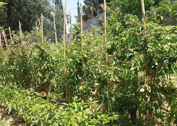 Sea View With 4 Bedrooms - Grecorama